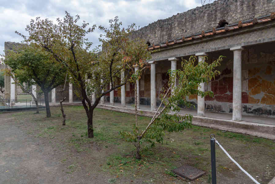 279 - Italia - Torre Annunziata - Villa Oplontis o Villa Poppea - Viridarium 1.jpg